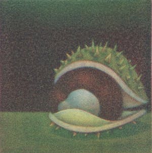 Joop Vegter - Mezzotint - 'Kastanje' - 1989 kopen? Bied vanaf 125!