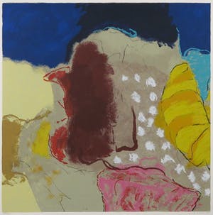 Henk van Vessem - Zeefdruk, Landschappelijk verlangen - Ingelijst kopen? Bied vanaf 1!