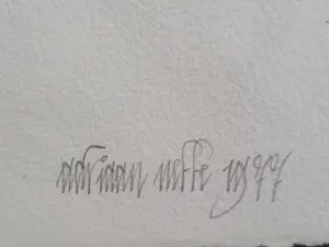 Adriaan Nette - The Final Fin.....?? kopen? Bied vanaf 59!