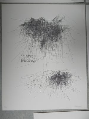 Maarten Beks - Reisdagen kopen? Bied vanaf 1!