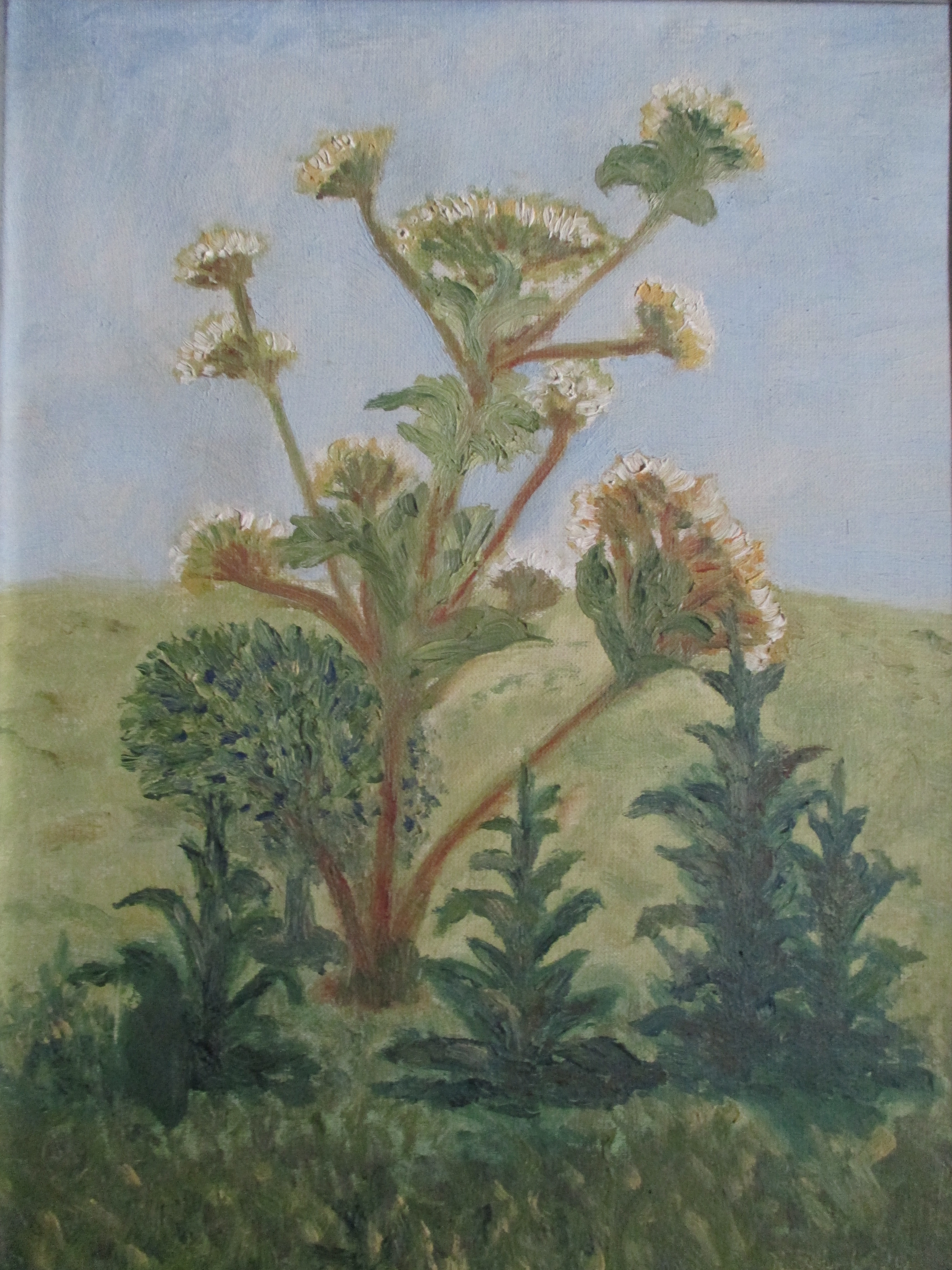 Niet of onleesbaar gesigneerd - Schilderij bloemen kopen? Bied vanaf 1!