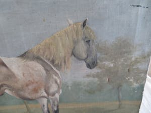 Niet of onleesbaar gesigneerd - Paard in de wei kopen? Bied vanaf 10!