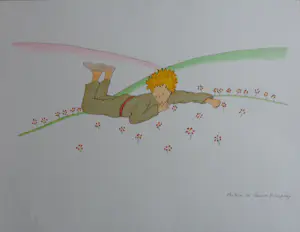 Antoine de Saint-Exupery - LOT 5 STUKS / LE PETIT PRINCE / KLEURLITHO / 40x31cm / DROOGSTEMPEL kopen? Bied vanaf 85!