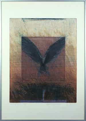 Hans Vredegoor - Kleurenets, Hovering bird - Ingelijst verkocht voor € 50!