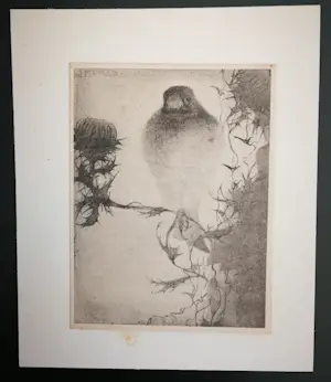 Jan Mankes - Heliogravure. Vogel. kopen? Bied vanaf 1!