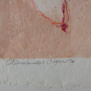 Alexander Vogels - Prachtige litho geschept papier in nieuwe lijst kopen? Bied vanaf 75!