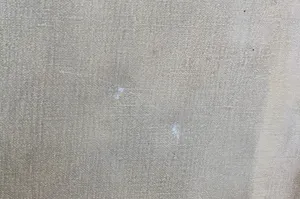 Evelien Scheffer - Olieverf op doek, Zonder titel - Ingelijst (Groot) kopen? Bied vanaf 1!