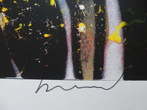 Herman Brood - Kleurenzeefdruk NIGHTRIDE Handgesigneerd. kopen? Bied vanaf 1!