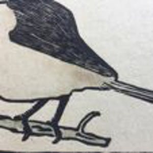 Niet of onleesbaar gesigneerd - Mesange Hupee - kuifmees kopen? Bied vanaf 10!