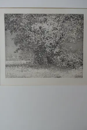 Reinder Homan - LANDSCHAP kopen? Bied vanaf 65!