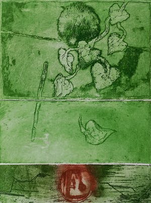 Jan Montyn - Hien’s garden, aquatint ets (kleine oplage) kopen? Bied vanaf 115!