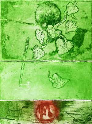 Jan Montyn - Hien’s garden, aquatint ets (kleine oplage) verkocht voor € 115!