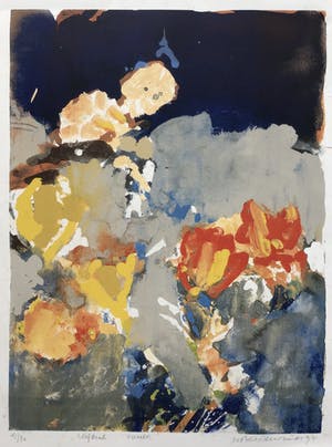 Robert Terwindt - Zeefdruk, Zomer, gesigneerd 41/80 kopen? Bied vanaf 20!