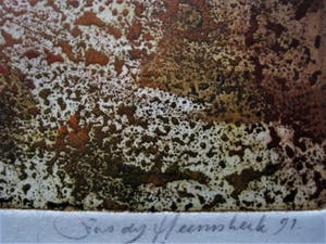 Niet of onleesbaar gesigneerd - gesigneerde, in zeer kleine oplage gemaakte Litho "Wilde Paarden" kopen? Bied vanaf 1!