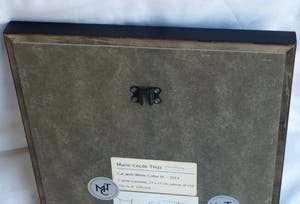 Marie Cecile Thijs - Ingelijste foto uit de serie 'White Collar', Cat with White Collar IV - 2013 kopen? Bied vanaf 1500!