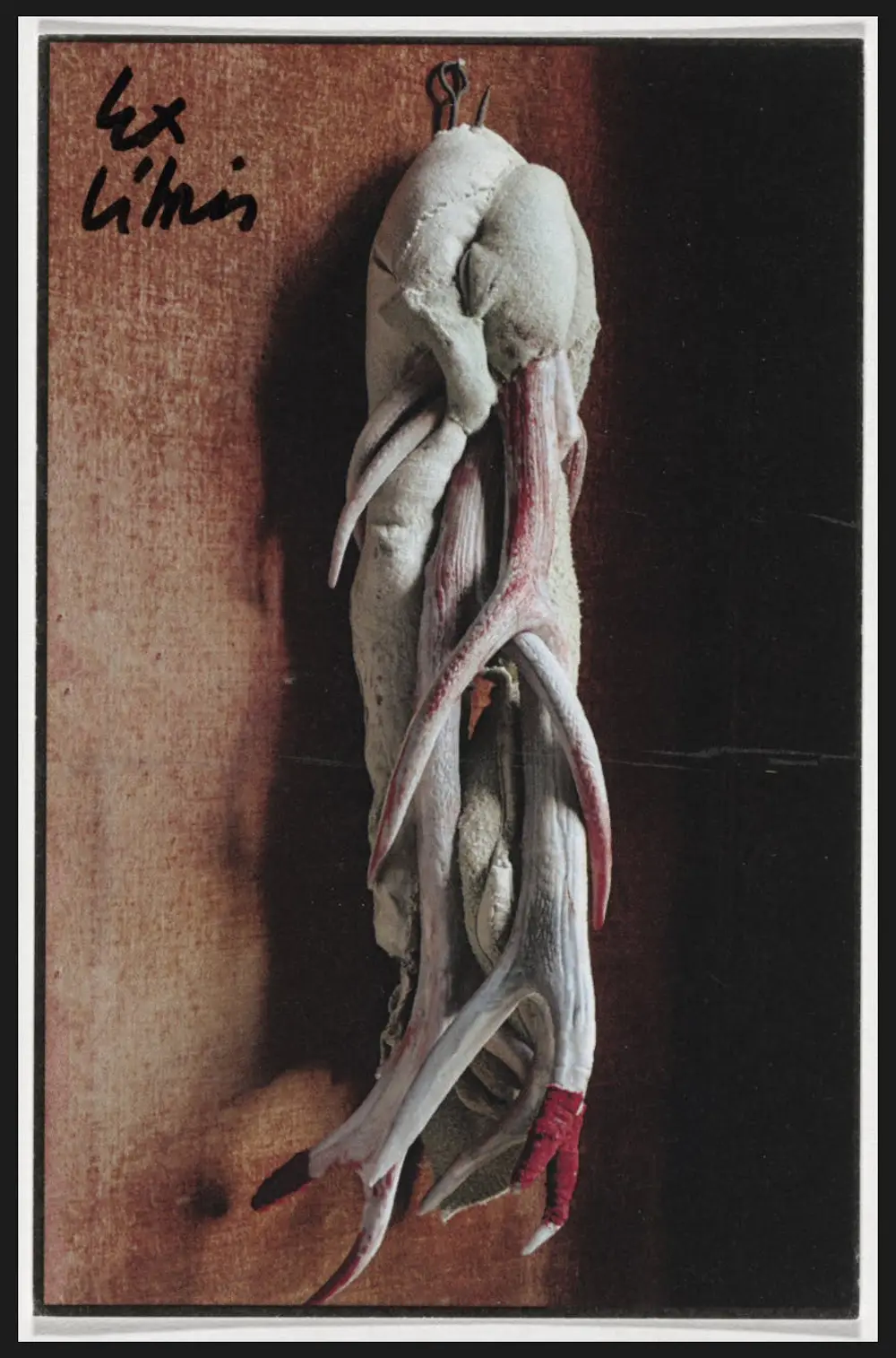 Berlinde De Bruyckere (1964)