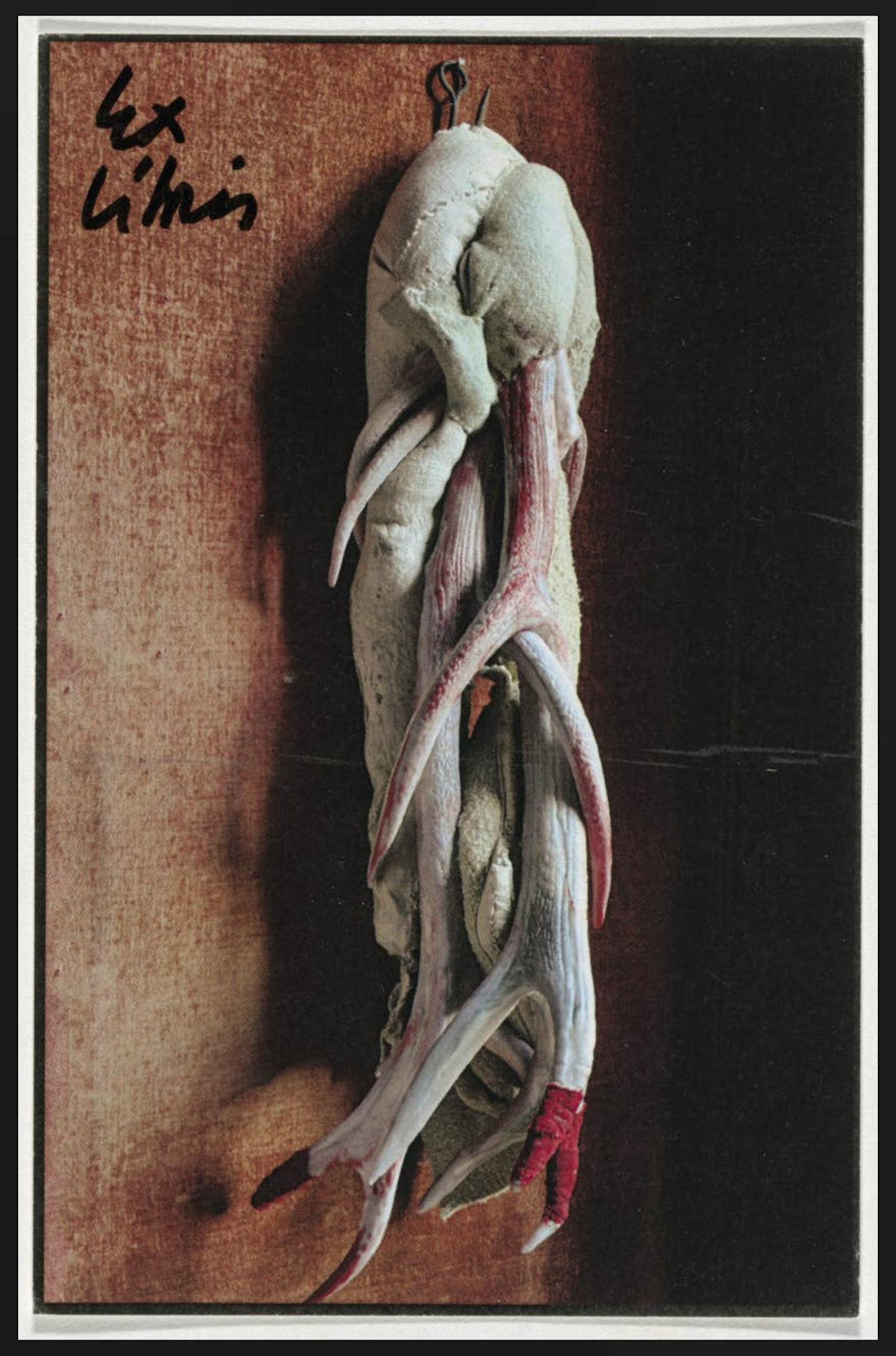 Berlinde De Bruyckere - EX LIBRIS - Rodt 6 januari III - offset + boekje kopen? Bied vanaf 200!