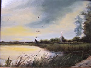 Lois Kapr - Polderlandchap kopen? Bied vanaf 60!