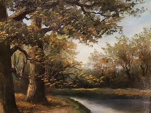 Niet of onleesbaar gesigneerd - Bos met water kopen? Bied vanaf 1!