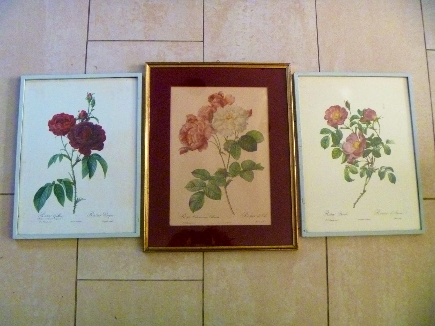 Pierre-Joseph Redoute - Drie ingelijste litho's Rozen verkocht voor € 26!