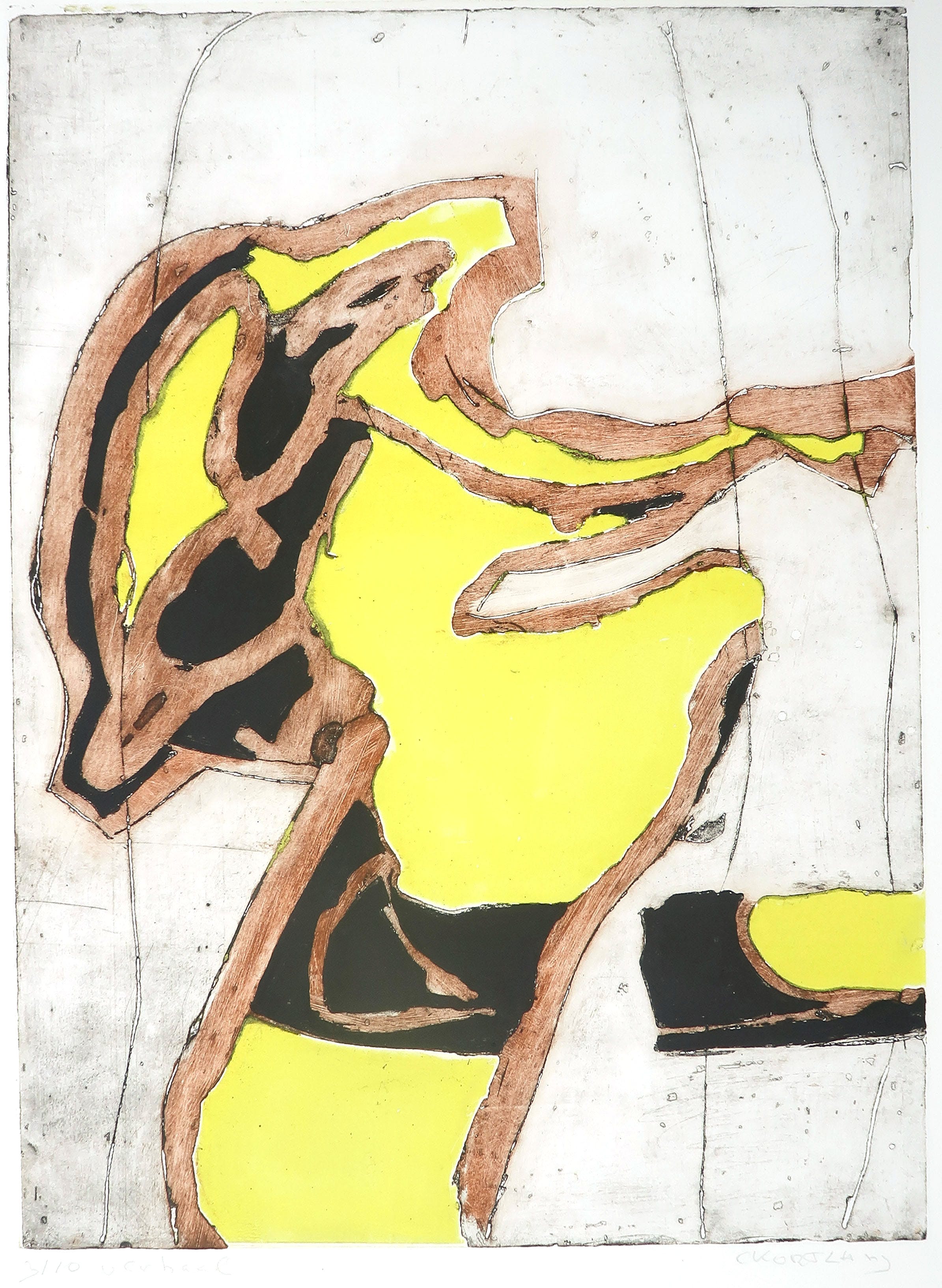 Cees Kortlang - Kleurenets, Yellow Mystic  kopen? Bied vanaf 35!