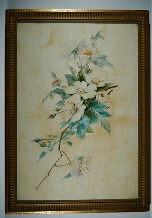 Niet of onleesbaar gesigneerd - 3 aquarellen in jugendstil kopen? Bied vanaf 1!