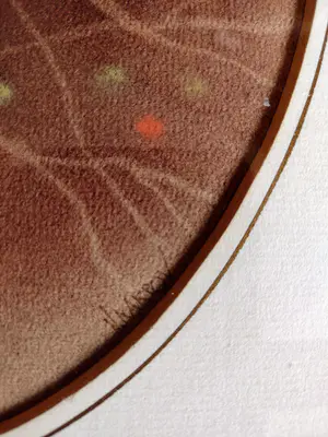 Nenad V. Karpov - Paartje zwartkop mezen (Sylvia Aricapilla) kopen? Bied vanaf 1!