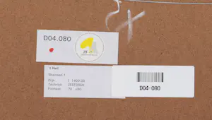 Gerard 't Hart - Shamaan 1 kopen? Bied vanaf 75!