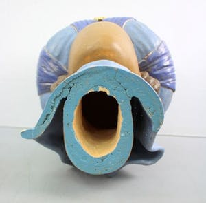 Niet of onleesbaar gesigneerd - "Vrouw met tulband" kopen? Bied vanaf 10!