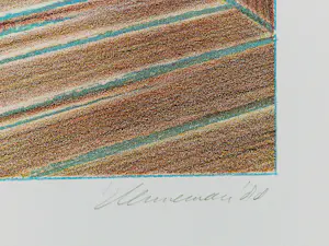 Jeroen Henneman - Groot in 1988 gemaakt kleuren litho "Het atelier in de Vossiusstraat" kopen? Bied vanaf 125!