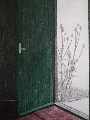 Joost Minnigh - Atelierdeur - 1983 - Kleurenets - eigen druk 13/25 kopen? Bied vanaf 35!