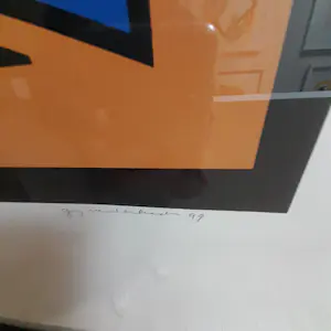 Guy Vandenbranden - La cathedrale de la lumiere kopen? Bied vanaf 495!