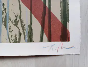 Larry Poons - Siebdruck - Auflage von 175 - signiert - nummeriert - (76 x 56 cm) kopen? Bied vanaf 399!