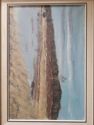 Niet of onleesbaar gesigneerd - Heidelandschap, gesigneerd. kopen? Bied vanaf 10!