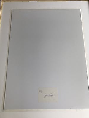 Jan Fabre - Often I feel betrayed kopen? Bied vanaf 375!