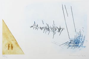 Jan Montyn - Kleurenets, Gebied van ons bestaan kopen? Bied vanaf 1!