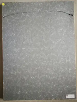 Dirkje Kuik - Ingelijste litho "studie voor een wilg" kopen? Bied vanaf 1!