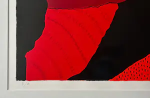 Ronald Boonacker - Villa Montesogione kopen? Bied vanaf 55!