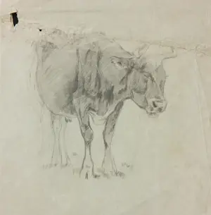 Niet of onleesbaar gesigneerd - Lot van diverse tekeningen kopen? Bied vanaf 1!