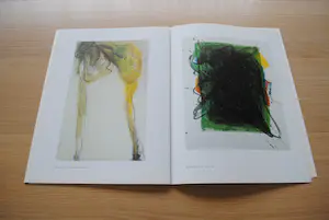 Lei Molin - Bijzondere uitgave met litho kopen? Bied vanaf 35!