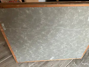 Jo Kruyder-Bouman - Begonia’s kopen? Bied vanaf 150!