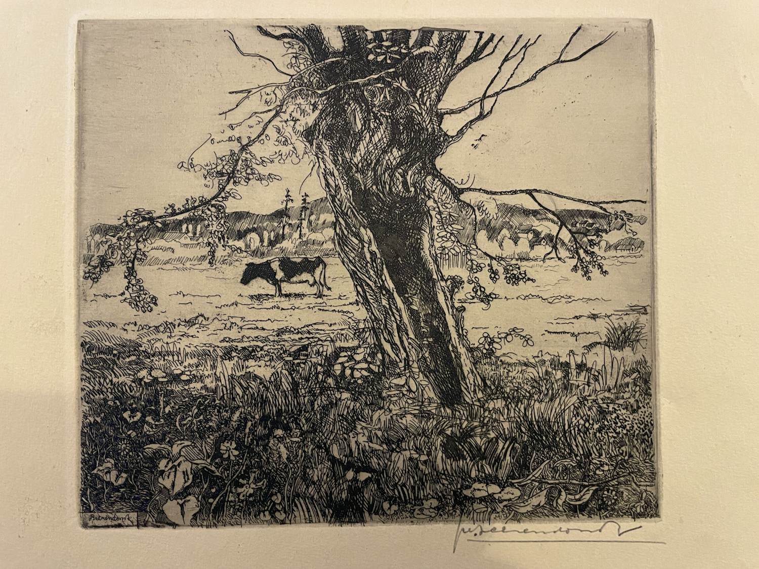 Theo Beerendonk - Knotwilg met koe kopen? Bied vanaf 40!