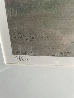 Carel Willink - Mooie grote zeefdruk kopen? Bied vanaf 485!