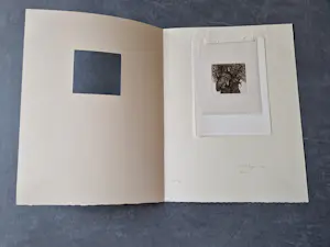 Anneke Kuyper - Knappe realistische droge naald Ets "steenuiltje" zeer kleine oplage (25) kopen? Bied vanaf 37!