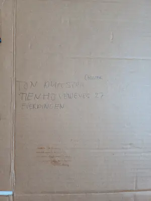 Ton Diekstra - Visie op 'n carrousel paard kopen? Bied vanaf 40!