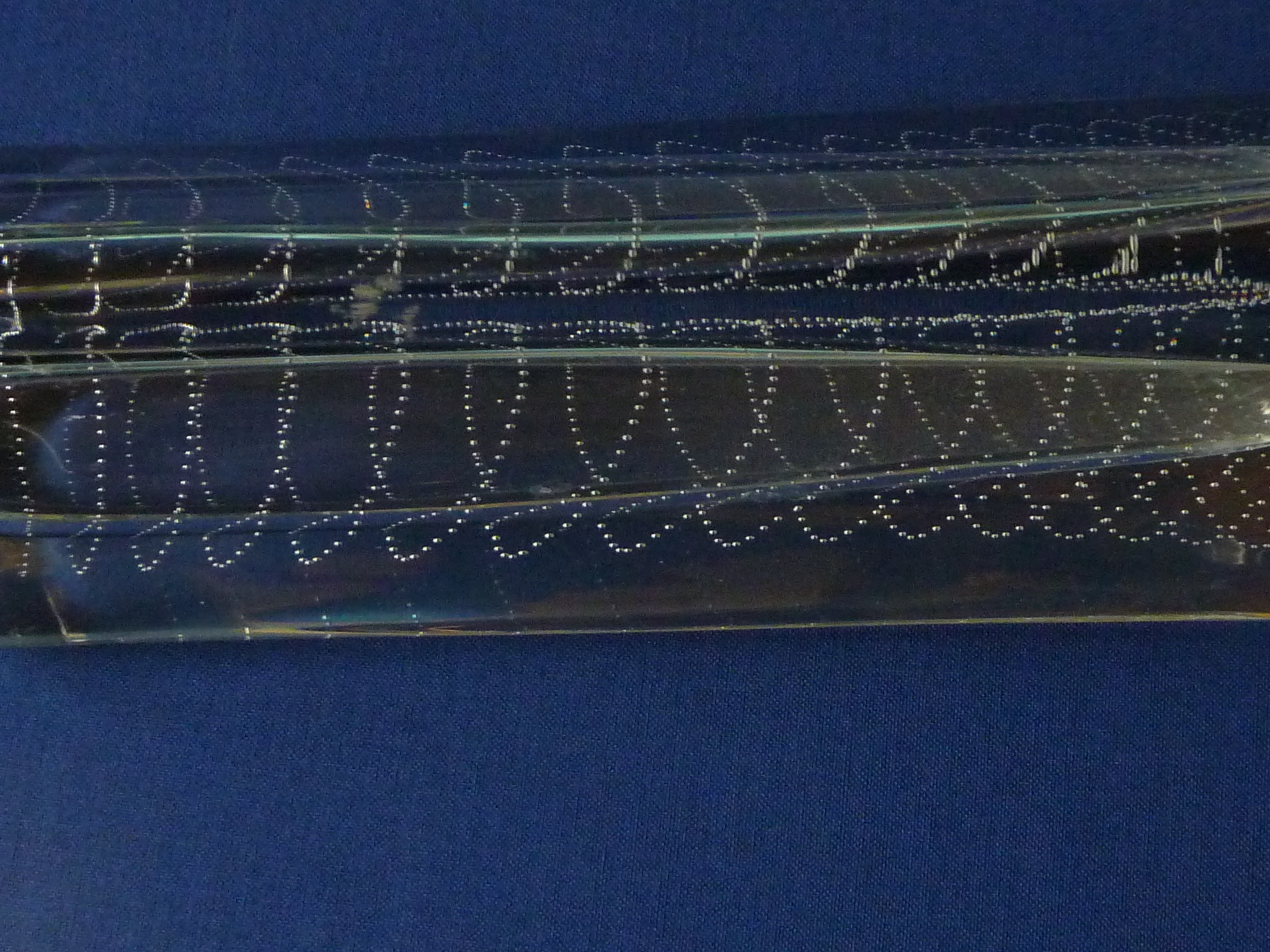 Royal Leerdam - Floris Meydam serica met luchtbellen 1960 kopen? Bied vanaf 70!