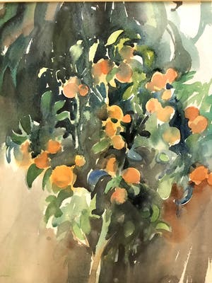 Hen Euverman - Mandarijnen Boompje - Aquarel, Ingelijst kopen? Bied vanaf 70!