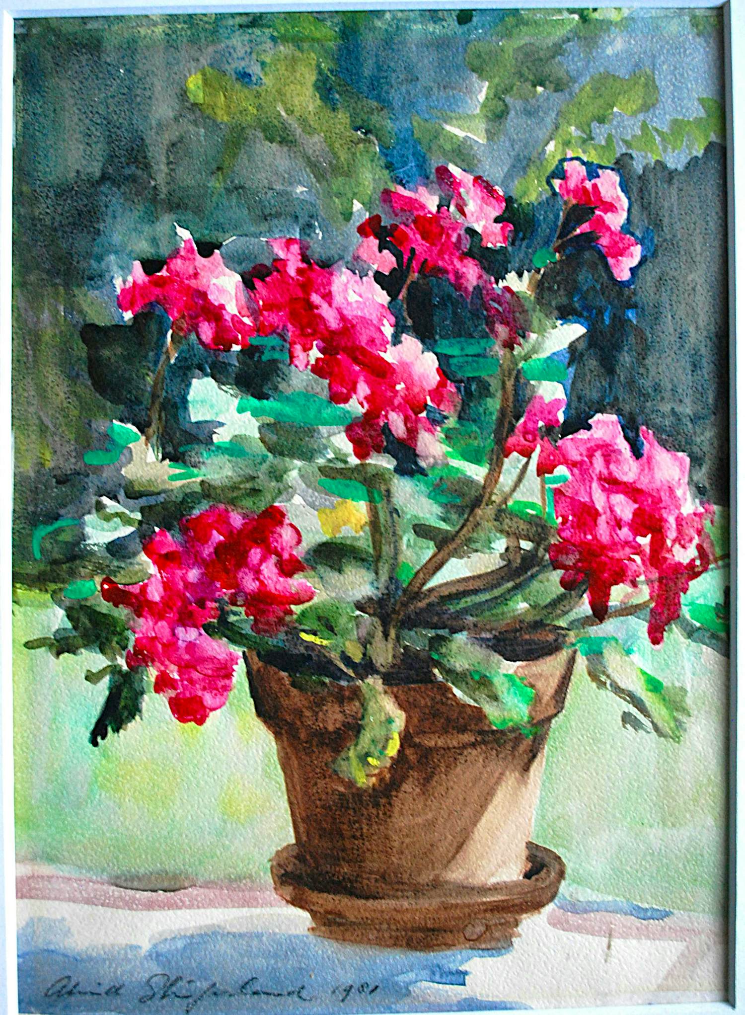 Aleid Slingerland - Bloeiende plant - verkocht voor € 20!