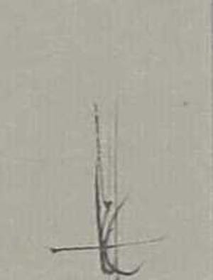 Melle Oldeboerrigter - Inkttekening op papier, z.t. Landschap kopen? Bied vanaf 80!