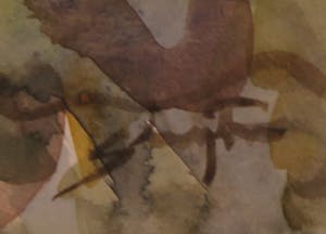 Jan Sluijters (jr.) - Aquarel, Boslandschap kopen? Bied vanaf 1!